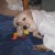 Profile picture of barside